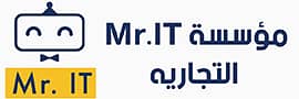 Mr IT Leb