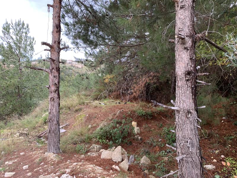 RWB184MT - Land for Sale in Jbeil Blat 2