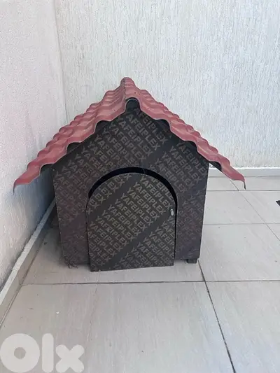 Dog House بيت كلب