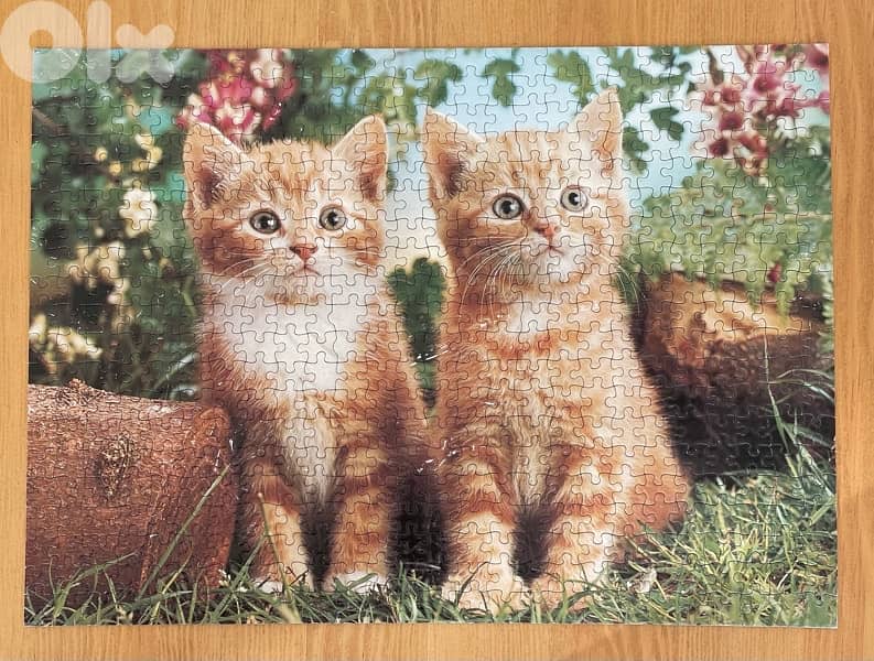 Puzzles Chatons 500 Pcs 0
