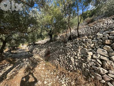 7221 m2 land + open view for sale in Bentael/Jbeil - أرض في جبيل