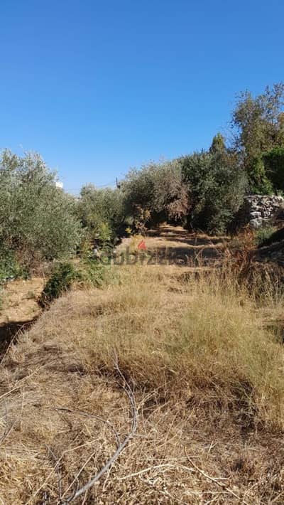 1560 Sqm | Land For Sale In Ghedres