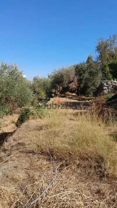 1560 Sqm | Land For Sale In Ghedres