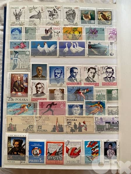 Stamp Collection 8