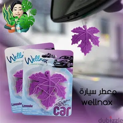Car Air freshener Car Air freshener
