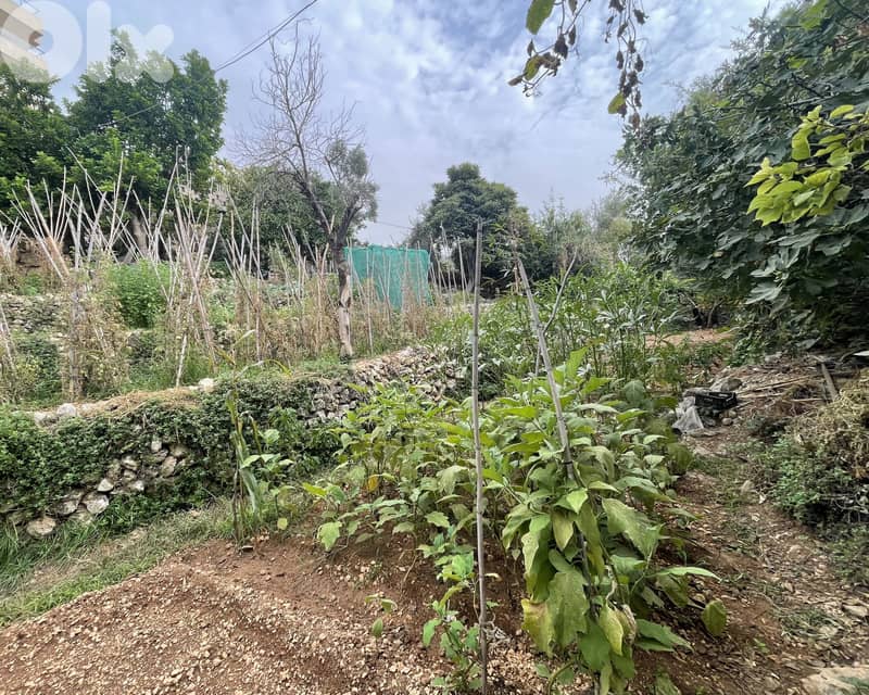 RWK102BA - Land With Old House For Sale In Ghazir 3