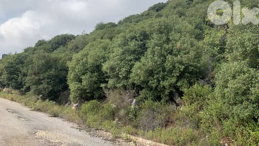 RWB192MT - Land for sale in Blat Jbeil