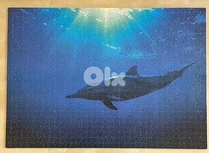 Puzzle 1000 Pcs Dauphin