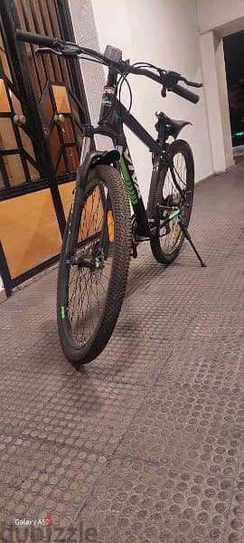 Viva Bicycle for sale 2